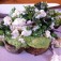 Seasonal crostini from Avec (photo: Steve Dolinsky)